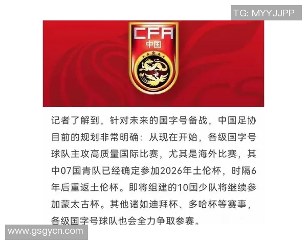 长春申华足球俱乐部奋勇争先助力中国足球崛起的新篇章